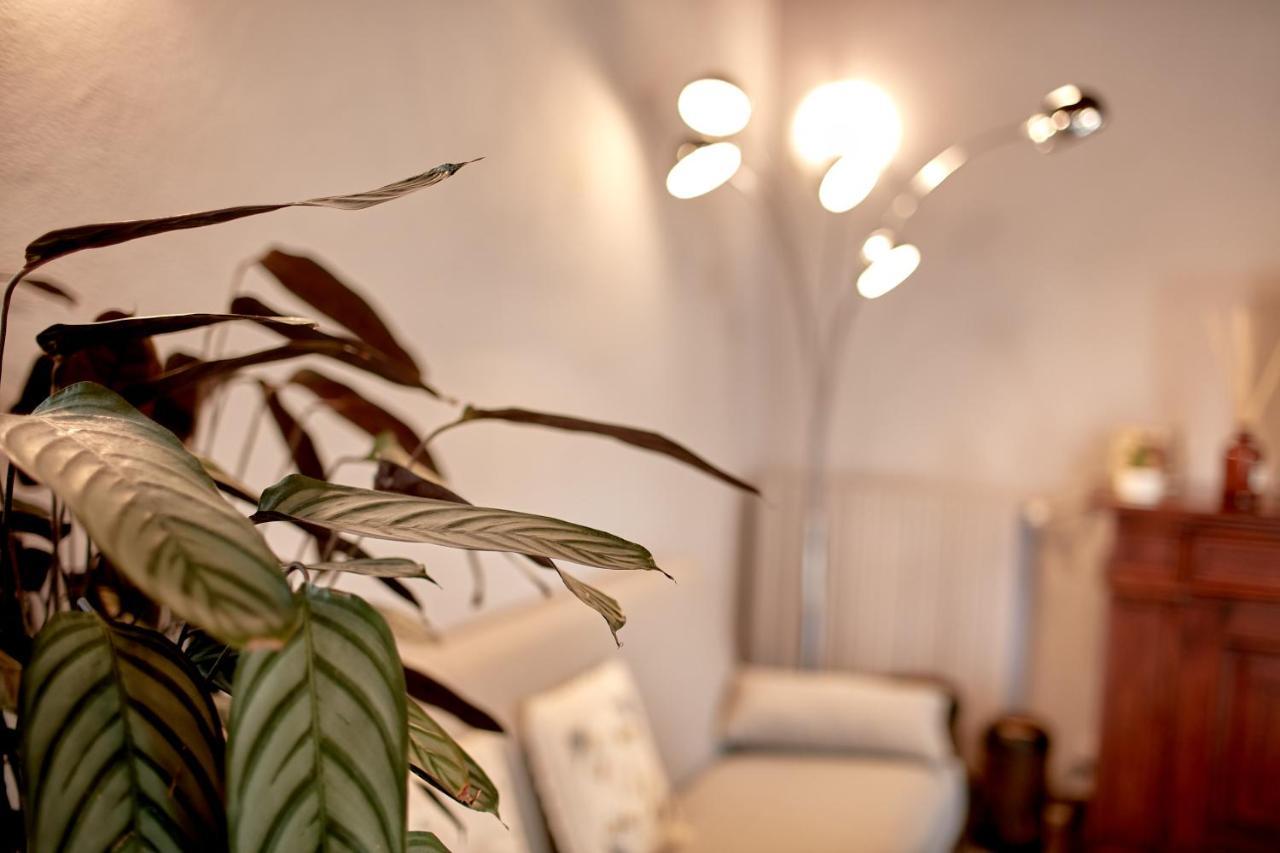 Villetta Con Giardino ⭑⭑⭑⭑⭑ - Wifi, Dogs Allowed Biella Bagian luar foto